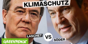 Beitragsbild des Blogbeitrags Laschet vs Söder: Was tun sie für Klimaschutz? | Greenpeace Deutschland 