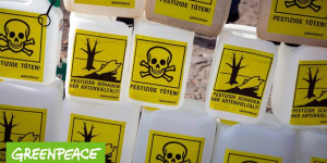 Beitragsbild des Blogbeitrags Warum das EU-Mercosur Handelsabkommen toxisch ist | Greenpeace Deutschland