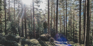 Beitragsbild des Blogbeitrags Fair Play im Wald: Spielregeln für Freizeit in der Natur