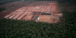 Beitragsbild des Blogbeitrags Geplante Entwaldung bedroht indigenes Land und intakte Waldlandschaften in West-Papua  | Greenpeace int. 
