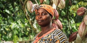 Beitragsbild des Blogbeitrags Elfenbeinküste: Preissenkung auf Kosten der Kakaoproduzenten 