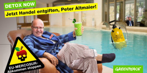 Beitragsbild des Blogbeitrags Jetzt Handel entgiften, Peter Altmaier! | Greenpeace Deutschland 