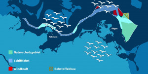 Beitragsbild des Blogbeitrags Marine Raumordnung: Zugvogelkorridore in der Ostsee gefährdet | Naturschutzbund Deutschland 
