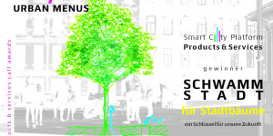 Beitragsbild des Blogbeitrags Prinzip Schwammstadt für Smart Cities: Intelligente Böden für gesunde Bäume 
