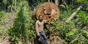 Beitragsbild des Blogbeitrags Landraub: Indigene Völker verklagen Brasilien | Greenpeace int. 