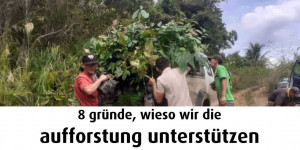 Beitragsbild des Blogbeitrags 8 Gründe, wieso wir die #Aufforstung unterstützen