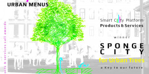 Beitragsbild des Blogbeitrags Schwammstadtprinzip für Smart Cities: Smart Soil für gesunde Bäume und Urban C. 
