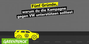 Beitragsbild des Blogbeitrags Warum du die Kampagne gegen Volkswagen unterstützen solltest | Greenpeace Deutschland