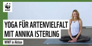 Beitragsbild des Blogbeitrags WWF Yoga für Artenvielfalt mit Annika Isterling | WWF Deutschland