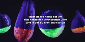 Beitragsbild des Blogbeitrags Das Gift in deiner Smoothie Bowl | Greenpeace Deutschland 