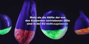 Beitragsbild des Blogbeitrags Das Gift in deiner Smoothie Bowl | Greenpeace Deutschland