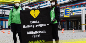 Beitragsbild des Blogbeitrags Greenpeace Aktive steigen Edeka aufs Dach | Greenpeace Deutschland