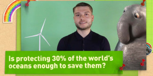 Beitragsbild des Blogbeitrags Reicht der Schutz von 30 % der Weltmeere aus, um sie zu retten?  |  Greenpeace Deutschland 