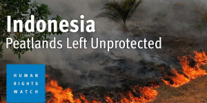 Beitragsbild des Blogbeitrags Ölpalmenexpansion gefährdet Umwelt, schadet Gemeinden |  Human Rights Watch 