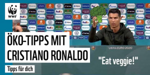 Beitragsbild des Blogbeitrags Ronaldos Top 5 Öko-Verbrauchertipps | WWF Deutschland