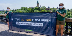 Beitragsbild des Blogbeitrags Green(washing) Finance: Nachhaltigkeitsfonds werden ihrem Namen nicht gerecht | Greenpeace int.