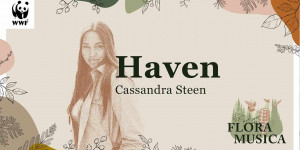 Beitragsbild des Blogbeitrags Haven – Die WWF-Waldhymne von Cassandra Steen | WWF Deutschland 
