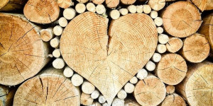 Beitragsbild des Blogbeitrags Rückverfolgbarkeit der Lieferkette von Holzprodukten wird erleichtert 