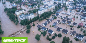Beitragsbild des Blogbeitrags Hochwasser: Klimafolgen in Deutschland | Greenpeace Deutschland 