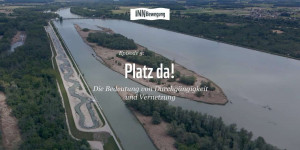 Beitragsbild des Blogbeitrags INNBewegung: Platz da! – Episode 5 | WWF Österreich 