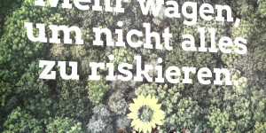 Beitragsbild des Blogbeitrags Die Grünen wollen den Deutschen alles verbieten