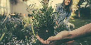 Beitragsbild des Blogbeitrags Die wichtigsten Helferlein im biologischen Garten