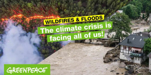 Beitragsbild des Blogbeitrags Global extremes weather events I #ClimateCrisis is here | Greenpeace Deutschland