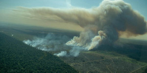 Beitragsbild des Blogbeitrags Neue Bilder illegaler Brände im Amazonas zeigen ein weiteres Jahr historischer Abholzung | Greenpeace int.