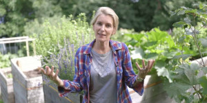 Beitragsbild des Blogbeitrags Der NABU-Insektensommer mit Maria Furtwängler | Naturschutzbund Deutschland