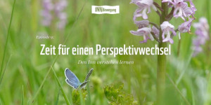 Beitragsbild des Blogbeitrags INNBewegung: Zeit für einen Perspektivwechsel – Episode 9 | WWF Österreich