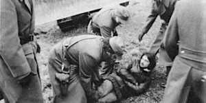 Beitragsbild des Blogbeitrags Die Rettung der Lobau (Episode I)