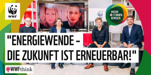 Beitragsbild des Blogbeitrags #WWFthink – Wahlspezial Folge 2: Energiewende – Die Zukunft ist erneuerbar! | WWF Deutschland