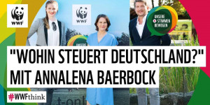 Beitragsbild des Blogbeitrags #WWFthink – Wahlspezial Annalena Baerbock: Wohin steuert Deutschland & wer sollte am Ruder sitzen? | WWF Deutschland 