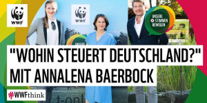 Beitragsbild des Blogbeitrags #WWFthink – Wahlspezial Annalena Baerbock: Wohin steuert Deutschland & wer sollte am Ruder sitzen? | WWF Deutschland