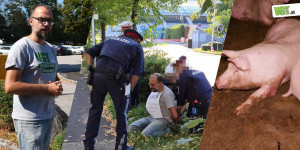 Beitragsbild des Blogbeitrags Tierschützer:innen illegal festgenommen!? | VGT Österreich 