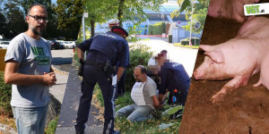Beitragsbild des Blogbeitrags Tierschützer:innen illegal festgenommen!? | VGT Österreich