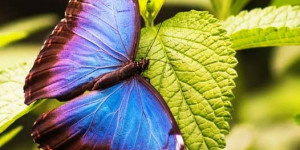 Beitragsbild des Blogbeitrags So einzigartig, so natürlich und so brillante Farben – so schöne Farben findest …