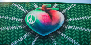 Beitragsbild des Blogbeitrags ‘Artivists schaffen im Rahmen des 50-jährigen Jubiläums von Greenpeace riesige Wandbilder auf der ganzen Welt | Greenpeace int. 