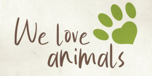 Beitragsbild des Blogbeitrags Heute ist Welttierschutztag! Wir lieben Tiere 