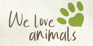 Beitragsbild des Blogbeitrags Heute ist Welttierschutztag! Wir lieben Tiere