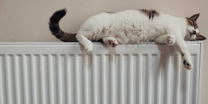Beitragsbild des Blogbeitrags Ressourcenschonend Heizen: die Temperatur hast du selbst im Griff