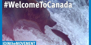 Beitragsbild des Blogbeitrags #WelcomeToCanada |  Human Rights Watch 