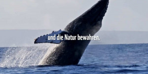 Beitragsbild des Blogbeitrags Klima schützen. Leben retten. | WWF Deutschland 