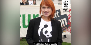 Beitragsbild des Blogbeitrags WWF-Protestaktion „Natur statt Beton“ | WWF Österreich