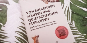 Beitragsbild des Blogbeitrags Buchtipp: „Von singenden Mäusen und quietschenden Elefanten“