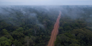 Beitragsbild des Blogbeitrags COP26: Greenpeace verurteilt grünes Licht für ein weiteres Jahrzehnt der Waldzerstörung | Greenpeace int. 