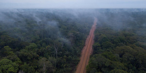 Beitragsbild des Blogbeitrags COP26: Greenpeace verurteilt grünes Licht für ein weiteres Jahrzehnt der Waldzerstörung | Greenpeace int.