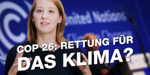 Beitragsbild des Blogbeitrags Weltklimakonferenz einfach erklärt | Greenpeace Deutschland