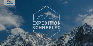 Beitragsbild des Blogbeitrags NABU-Ausstellung: Expedition ins Reich des Schneeleoparden | Naturschutzbund Deutschland