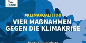 Beitragsbild des Blogbeitrags Klimakrise: Diese vier Maßnahmen muss die Ampel-Koalition umsetzen | Naturschutzbund Deutschland 